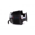 Aerosus Toyota Sequoia XK60 (2008-2023) Πίσω Αριστερό Ελατήριο Αέρα 2008, 2009, 2010, 2011, 2012, 2013, 2014, 2015, 2016, 2017, 2018, 2019, 2020, 2021, 2022, 2023 - 179148