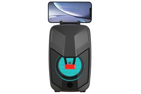Xo F29 Fm + Bluetooth Speaker Black