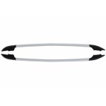 Διακοσμητικές Ράγες Οροφής Κατάλληλες Για Ford Ranger T6 T7 T8 Double Cabin (2012-2020) Ασημί