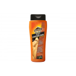 Armor All Καθαριστικό Δερμάτων 3 in 1 Leather Care Semi Matt 250ml – 132500100