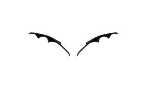 Americat Φρυδάκια Φαναριών Μπροστινά για Honda Civic 3D''02on Type-R