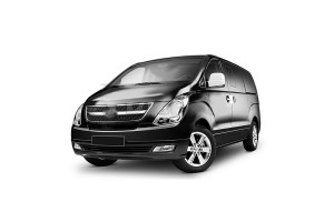 S-DIZAYN Καπακια Καθρεφτη Hyundai H1 2008+ ΚΚ.6203010/SD