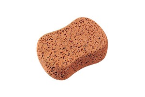 Σφουγγαρι Πλυσιματος