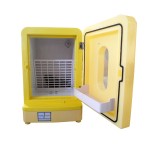 Americat Ψυγειο 15lt 12V / 220V Winnie The Pooh DS.25801