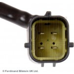 Blue Print Αισθητήρας Λάμδα - ADM57033C