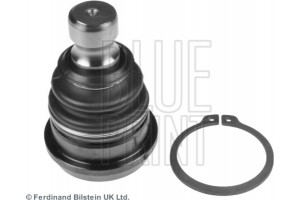 Blue Print Άρθρωση Υποστήριξης - ADG08642