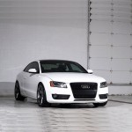 Μάσκα Για Audi A5 8T 07-11 RS5 Look Κυψελωτή Μαύρο Ματ 1 Τεμάχιο