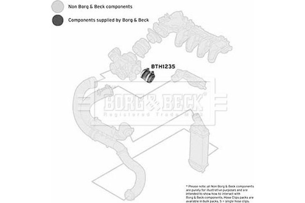 Borg & Beck Ελαστ. σωλ. Αέρα Υπερπλήρωσης - BTH1235