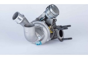 Borgwarner Υπερπληρωτής, Υπερπλήρωση - 53039880145