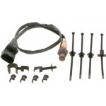 Bosch Αισθητήρας Λάμδα - 0 258 007 353