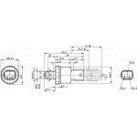 Bosch Διακόπτης πίεσης, υδραυλ. σύστ. Φρένων - 0 265 005 303