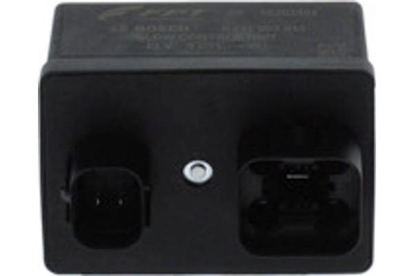 Bosch Εγκέφαλος, Χρόνος Προθέρμανσης - 0 281 003 043