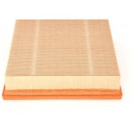 Bosch Φίλτρο Αέρα - 1 457 433 550