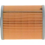 Bosch Φίλτρο λαδιού, Επιβραδυντής - 1 457 429 174