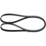 Bosch Ιμάντας poly-V - 1 987 946 003