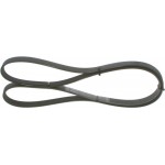 Bosch Ιμάντας poly-V - 1 987 946 057