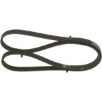 Bosch Ιμάντας poly-V - 1 987 948 365