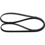 Bosch Ιμάντας poly-V - 1 987 948 480