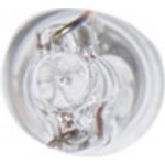 Bosch Λυχνία, Εσωτερικός Φωτισμός - 1 987 302 208