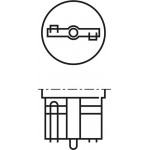 Bosch Λυχνία, Φλας - 1 987 302 818