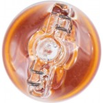 Bosch Λυχνία, Φλας - 1 987 301 095