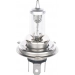 Bosch Λυχνία - 1 987 302 042