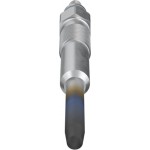 Bosch Προθερμαντήρας - 0 250 202 020