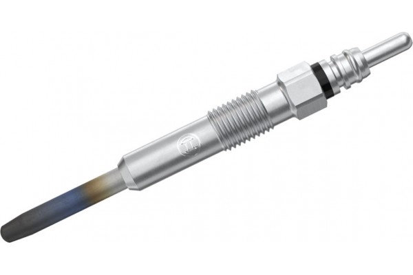 Bosch Προθερμαντήρας - 0 250 202 023