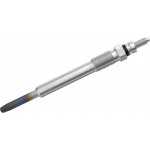 Bosch Προθερμαντήρας - 0 250 202 032