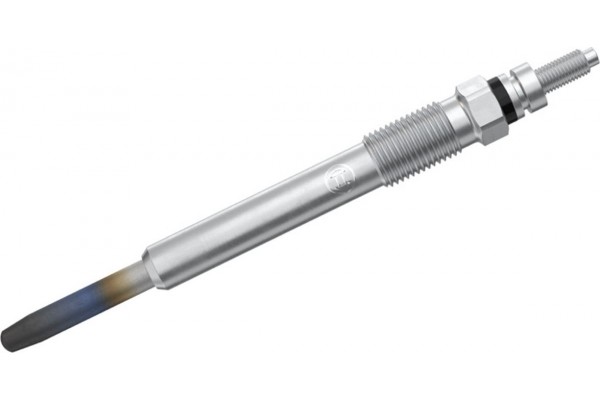 Bosch Προθερμαντήρας - 0 250 202 032