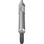 Bosch Προθερμαντήρας - 0 250 202 038