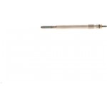 Bosch Προθερμαντήρας - 0 250 202 041