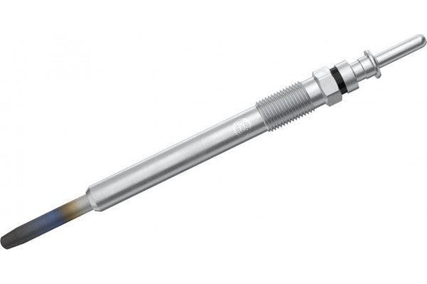 Bosch Προθερμαντήρας - 0 250 202 042