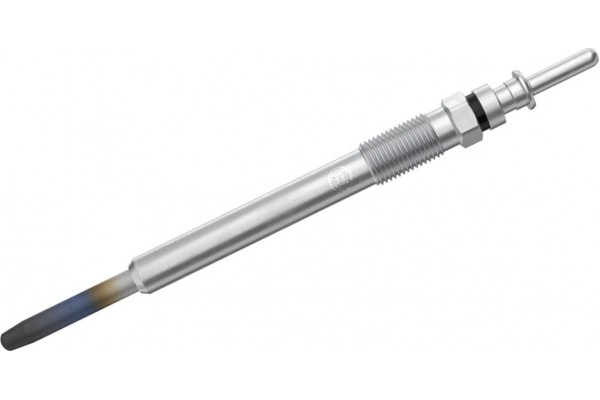 Bosch Προθερμαντήρας - 0 250 202 043