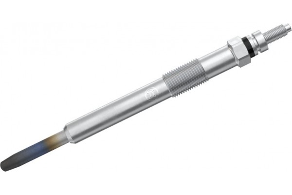 Bosch Προθερμαντήρας - 0 250 202 048