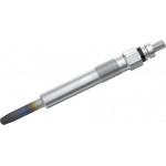 Bosch Προθερμαντήρας - 0 250 202 131