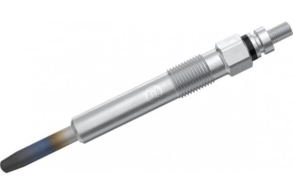 Bosch Προθερμαντήρας - 0 250 202 131