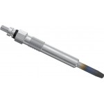 Bosch Προθερμαντήρας - 0 250 202 131