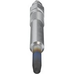 Bosch Προθερμαντήρας - 0 250 202 131