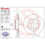 Brembo Δισκόπλακα - 09.8875.31