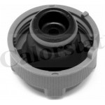 Calorstat By Vernet Τάπα κλεισίματος, Δοχείο Ψυκτικού Υγρού - RC0023