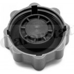 Calorstat By Vernet Τάπα κλεισίματος, Δοχείο Ψυκτικού Υγρού - RC0025