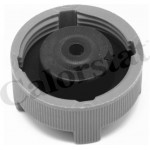 Calorstat By Vernet Τάπα κλεισίματος, Δοχείο Ψυκτικού Υγρού - RC0086