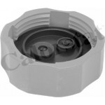 Calorstat By Vernet Τάπα κλεισίματος, Δοχείο Ψυκτικού Υγρού - RC0190