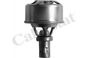 Calorstat By Vernet Θερμοστάτης, Ψυκτικό Υγρό - TH4495.75