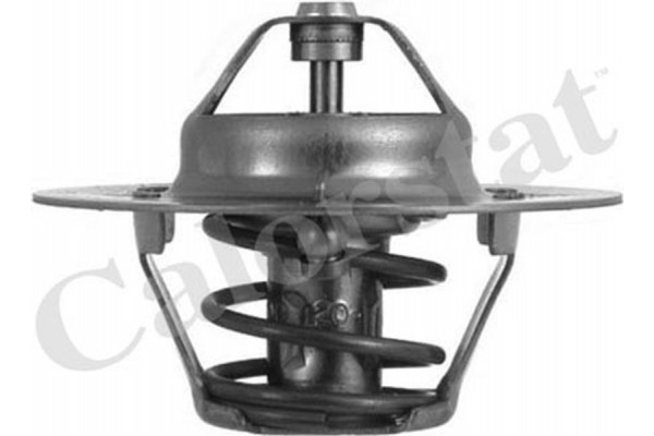 Calorstat By Vernet Θερμοστάτης, Ψυκτικό Υγρό - TH4608.88J