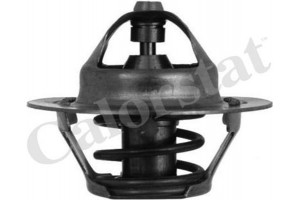 Calorstat By Vernet Θερμοστάτης, Ψυκτικό Υγρό - TH5075.82J