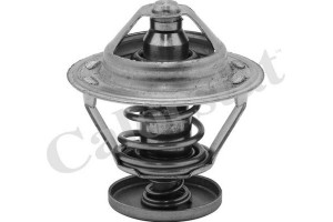 Calorstat By Vernet Θερμοστάτης, Ψυκτικό Υγρό - TH5079.76J