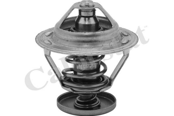 Calorstat By Vernet Θερμοστάτης, Ψυκτικό Υγρό - TH5079.76J