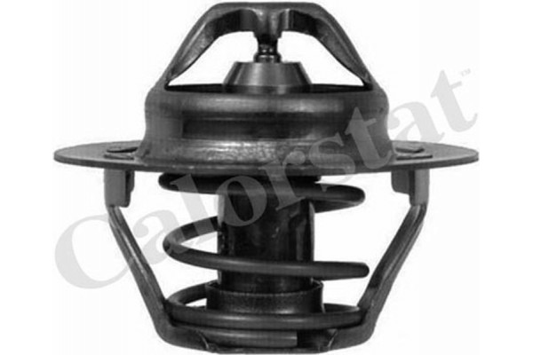 Calorstat By Vernet Θερμοστάτης, Ψυκτικό Υγρό - TH6047.89J